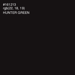#161213 - Hunter Green Color Image